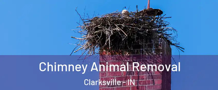  Chimney Animal Removal Clarksville - IN