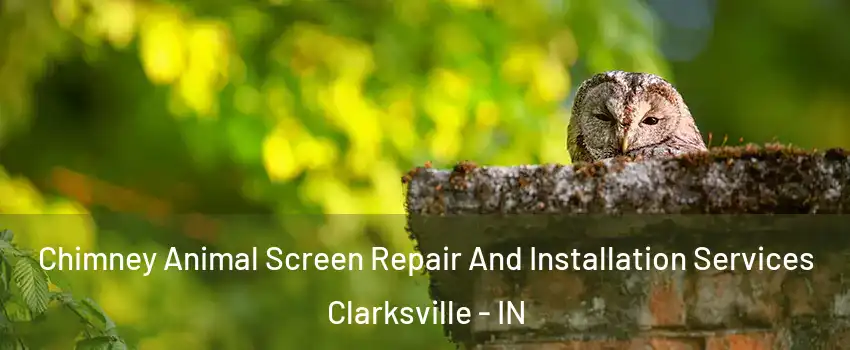  Chimney Animal Screen Repair And Installation Services Clarksville - IN