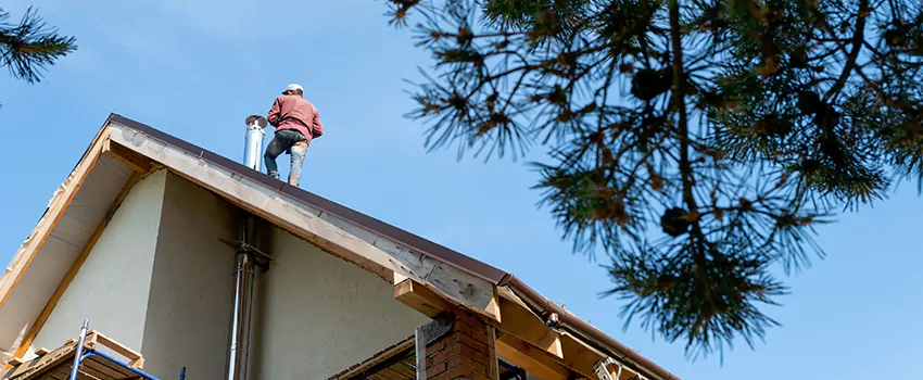 Birds Removal Contractors from Chimney in Clarksville, IN
